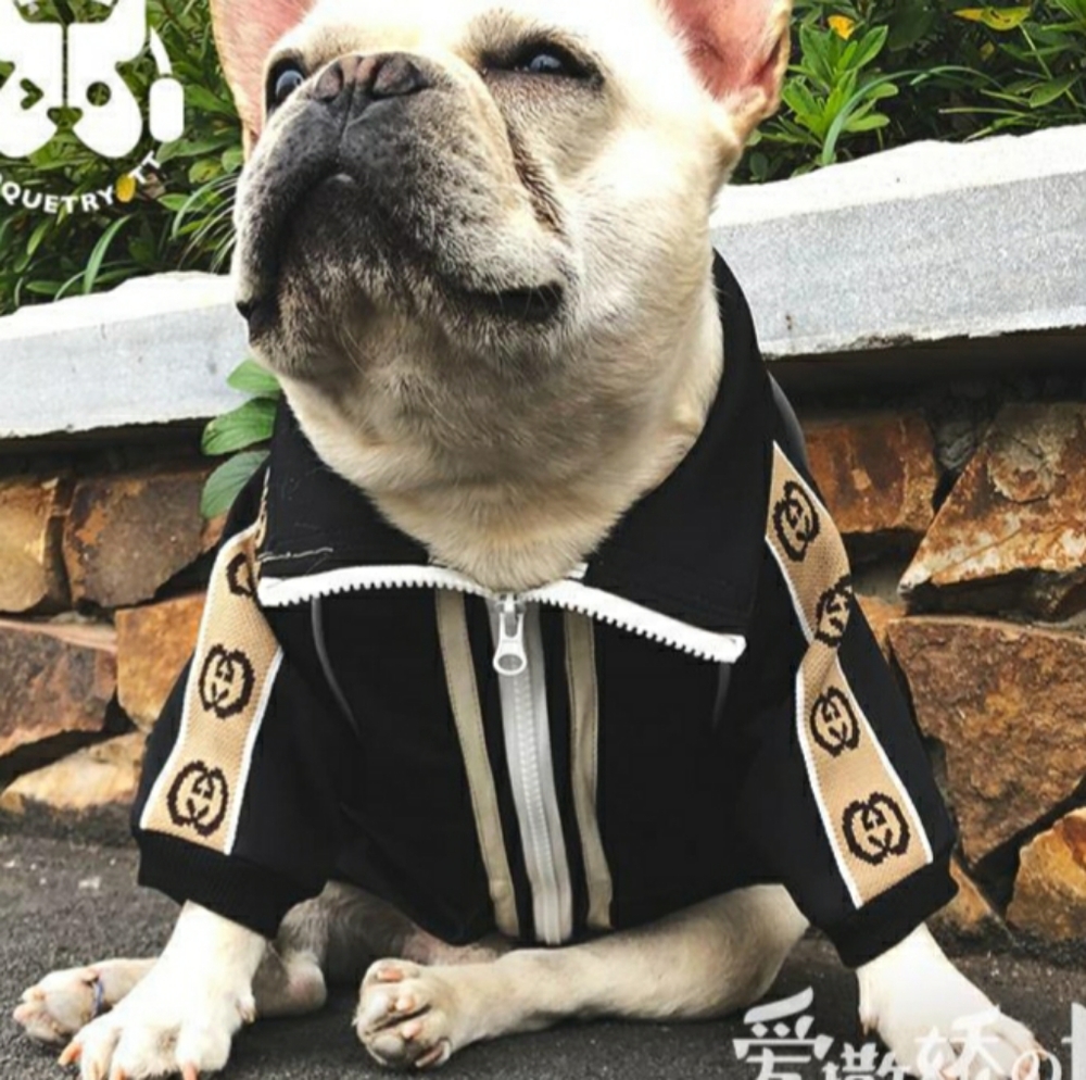 🎊HOST PICK🎊 GiGi Double G Doggy track jacket